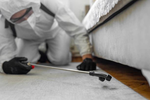 Professional Termite Control technician working in Mead, CO